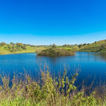 Moradia Gemea 2 Em Herdade Santa Marta Zebreira エクステリア 写真