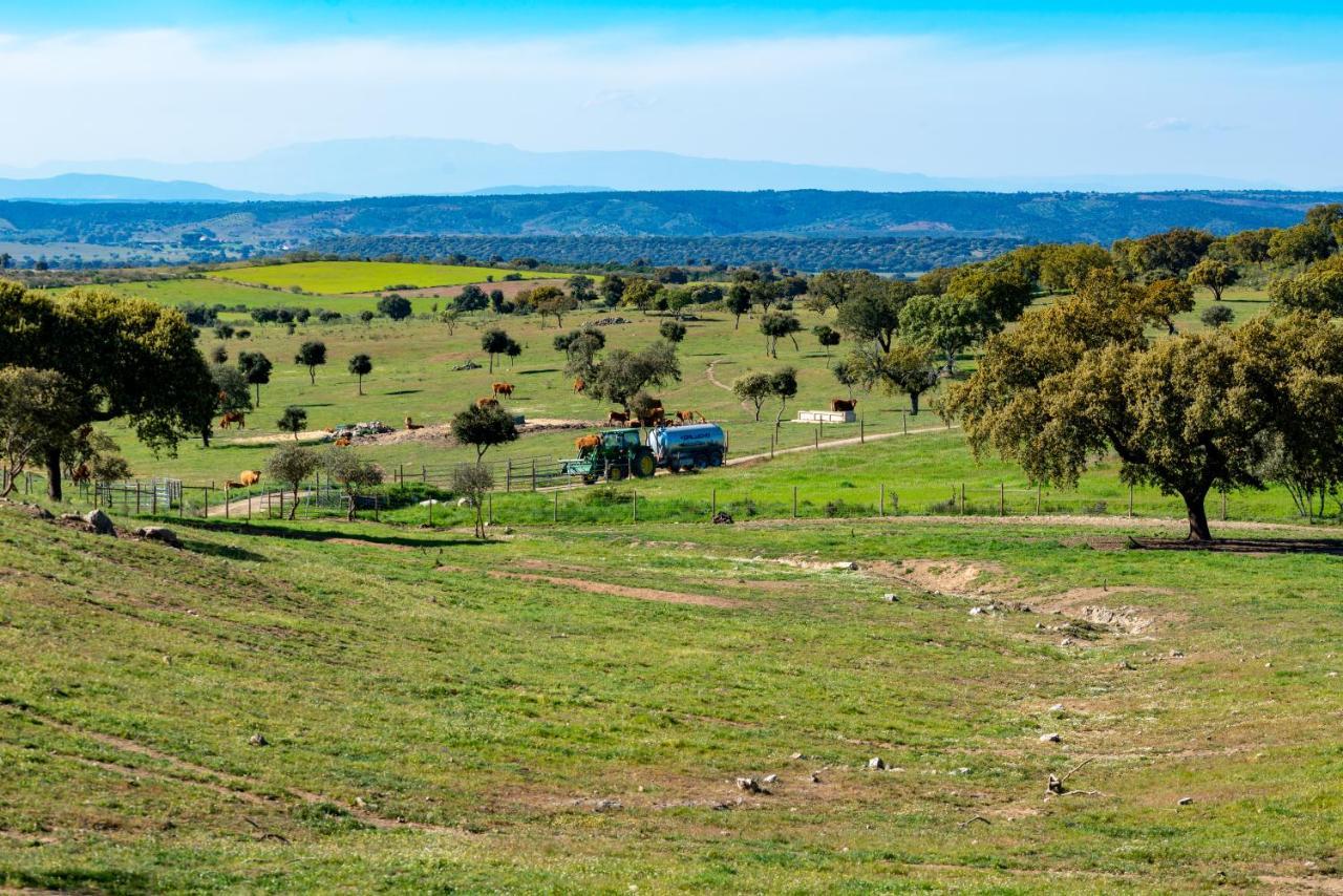 Moradia Gemea 2 Em Herdade Santa Marta Zebreira エクステリア 写真